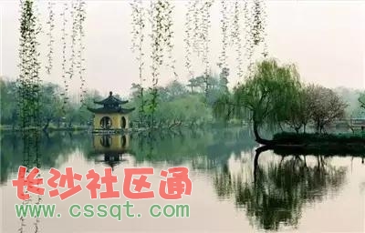 Їݵ7Сǣ҂(g)ط^